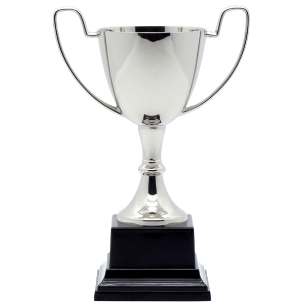 Small & Miniature trophies Archives | Hurstbourn & Priors - Awards ...
