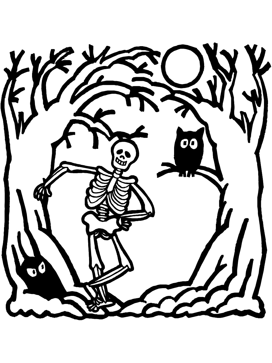 Pin Human Skeleton Colorin