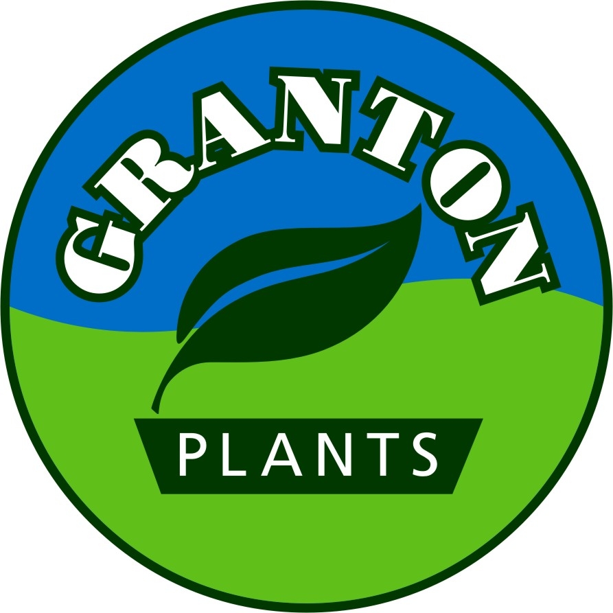 Weed Plant Logo - ClipArt Best