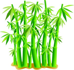 Bamboo Clipart - Tumundografico