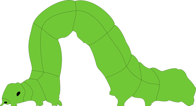 Inchworm Clipart | Free Download Clip Art | Free Clip Art | on ...