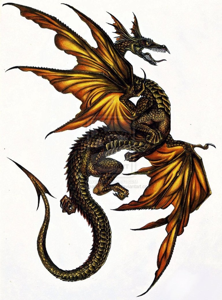 1000+ images about Dragon World