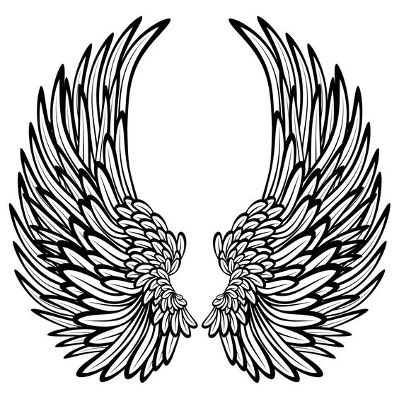 Wings, Google and Drawings