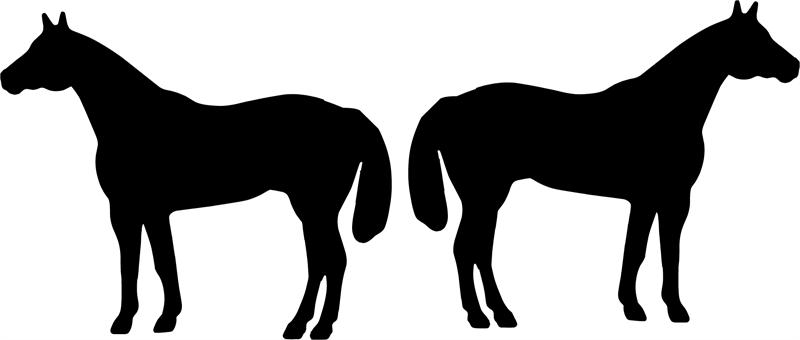 Quarter horse silhouette clipart