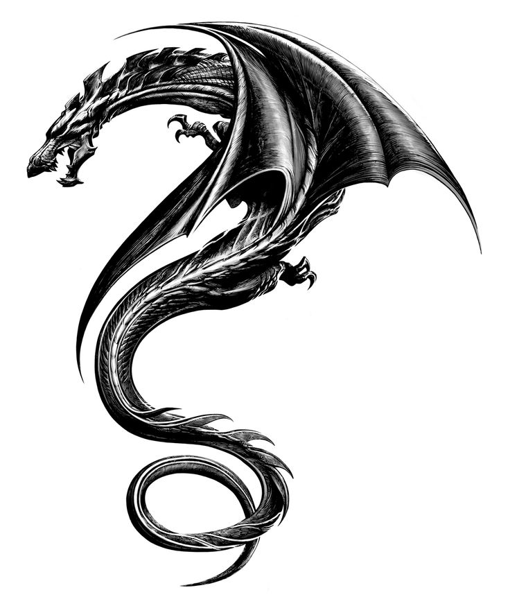 Dragon Tatto | Coy Fish, Dragon ...