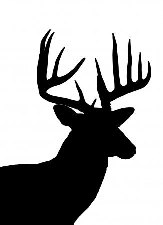 Deer Head Silhouette | Silhouettes ...