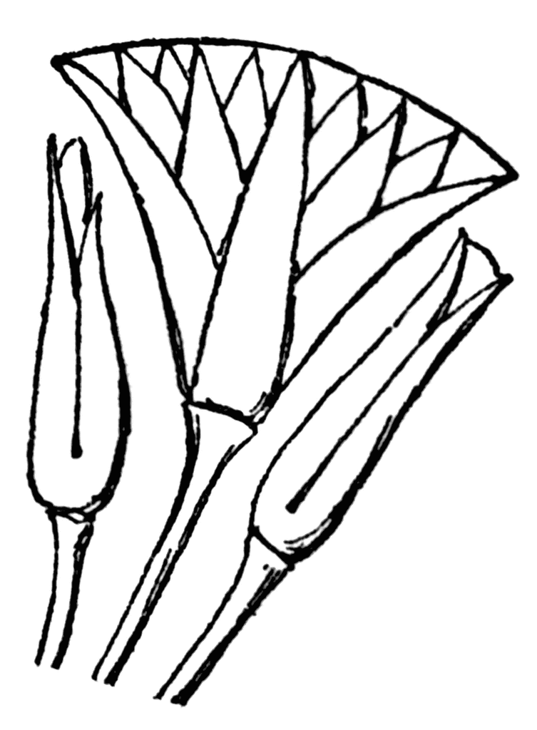 Ancient Egypt Clipart
