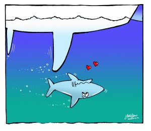 Sailing Humor – Soak into a Selection of Hilarious Pictures and ...