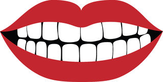 Teeth Clip Art - Tumundografico