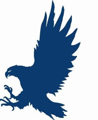 1000+ images about eagles
