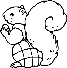 Outline Squirrel - ClipArt Best