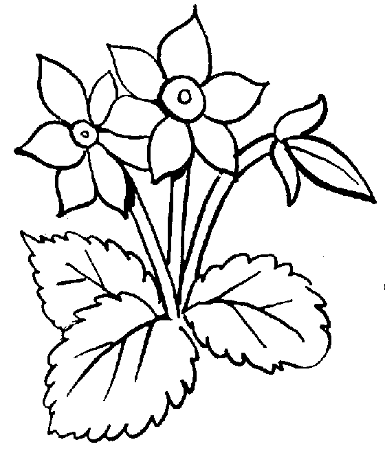 Flowers Line Art | Free Download Clip Art | Free Clip Art | on ...