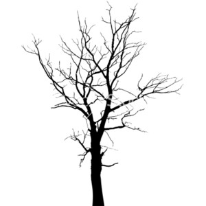 Forest Silhouette Png - ClipArt Best