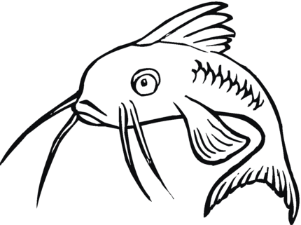 Catfish Cartoon Pictures