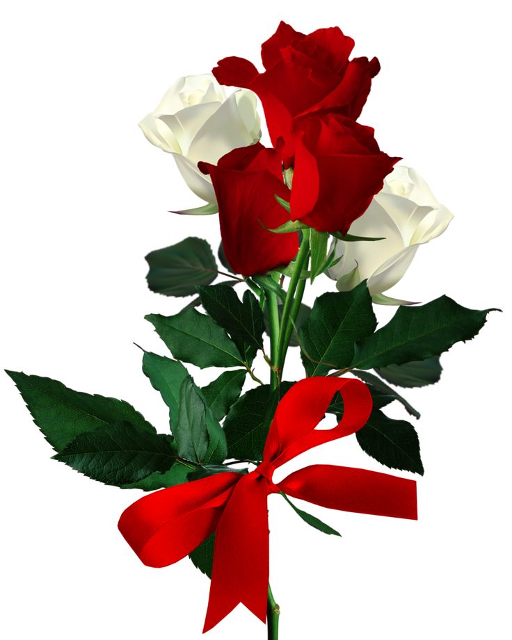 1000+ images about flowers | Te amo, Graphics and Flower