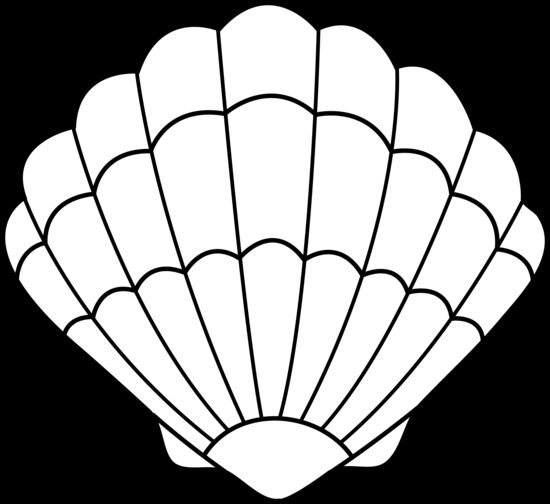 Coloring, Sea shells and Clip art