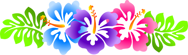 Hibiscus Border Clipart