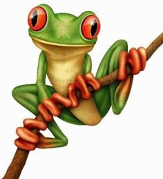 Deadly tree frog clipart - ClipartFox