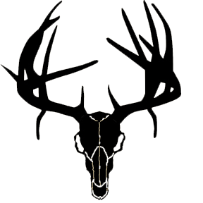 Buck Skull Clipart