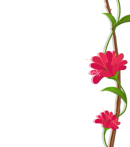 Purple Flowers Vector Branch Border Vector