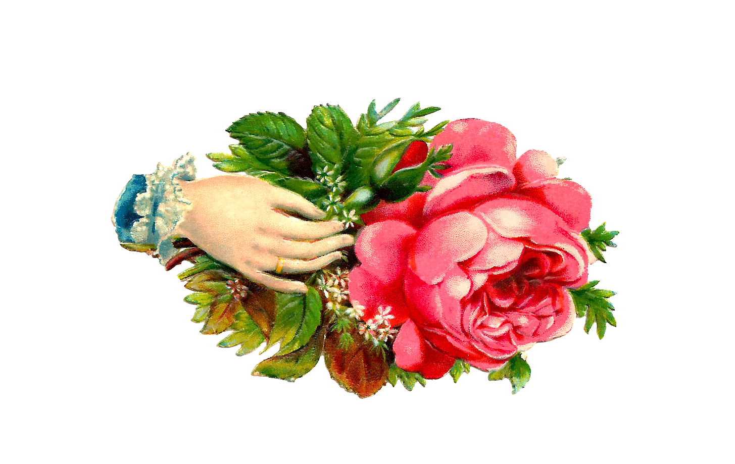 Flower Clip Art Victorian Scrap Red Roses And Flowers Hand Whimsy ...