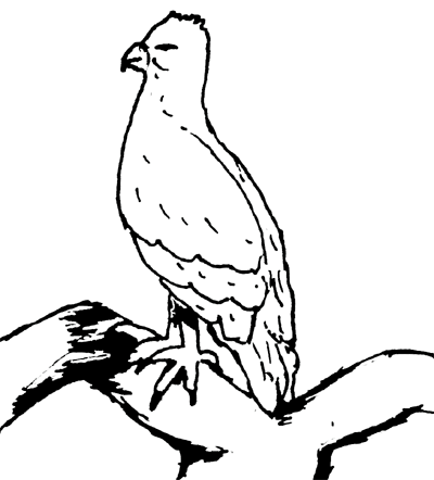 A Perfect World - Animals Clip Art