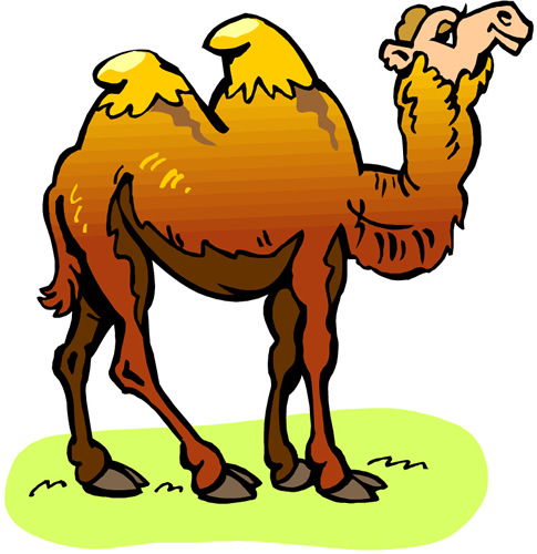 Hump Day Clip Art