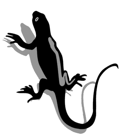 Lizard Drawings Clipart - Free to use Clip Art Resource