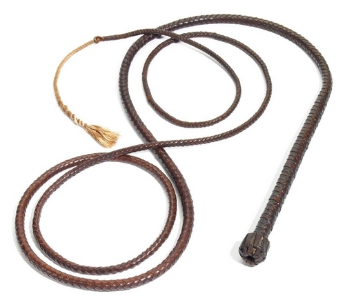 Indiana Jones Whip Clipart