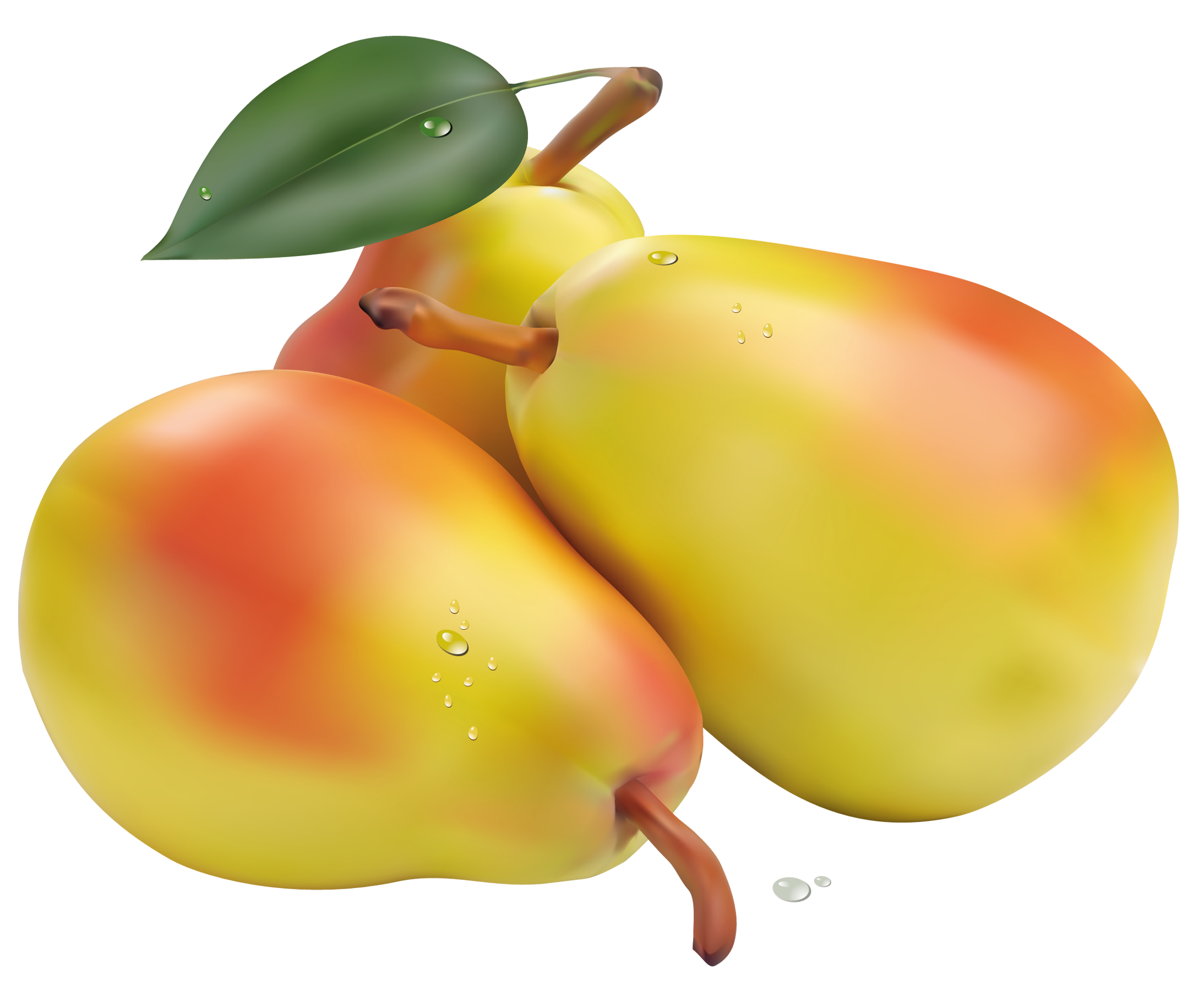 Pears PNG Clipart Picture