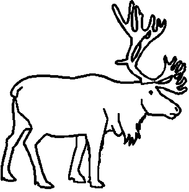Caribou Coloriage - ClipArt Best