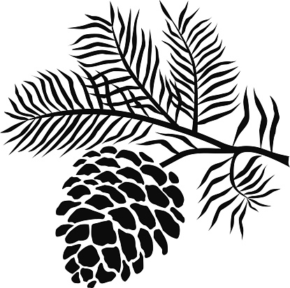 Pine cone clip art - ClipartFox