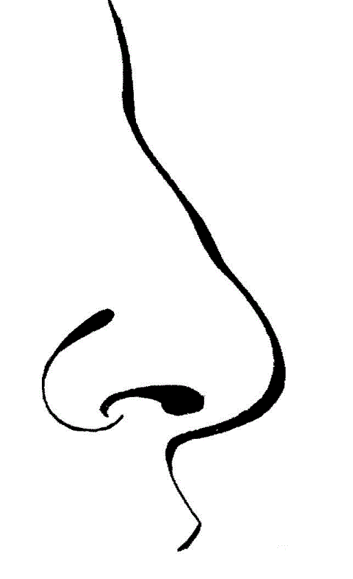 Human nose clipart