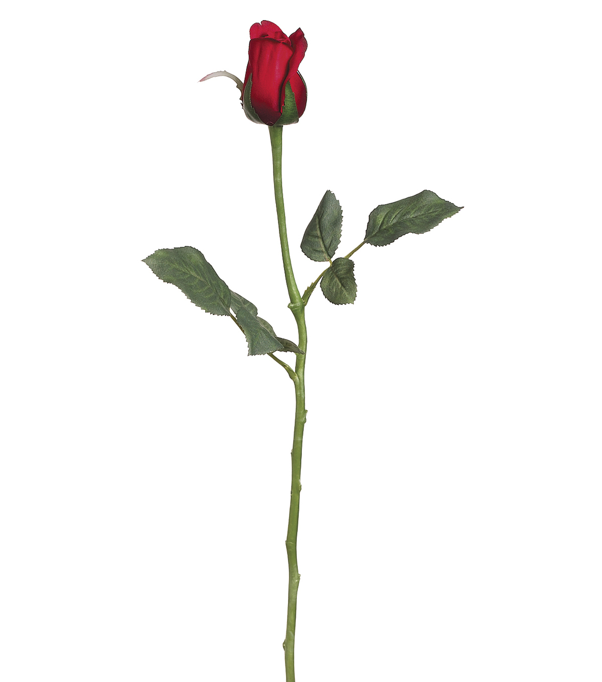 22.5" Single Princess Mary Rose Bud Spray with Waterproof Stem ...
