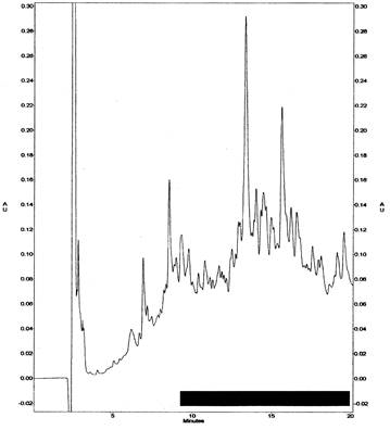 Undergrad Research Journal 2002