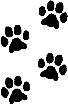 Peck Panther Paws