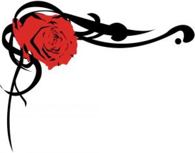 rose border | Download free Photos