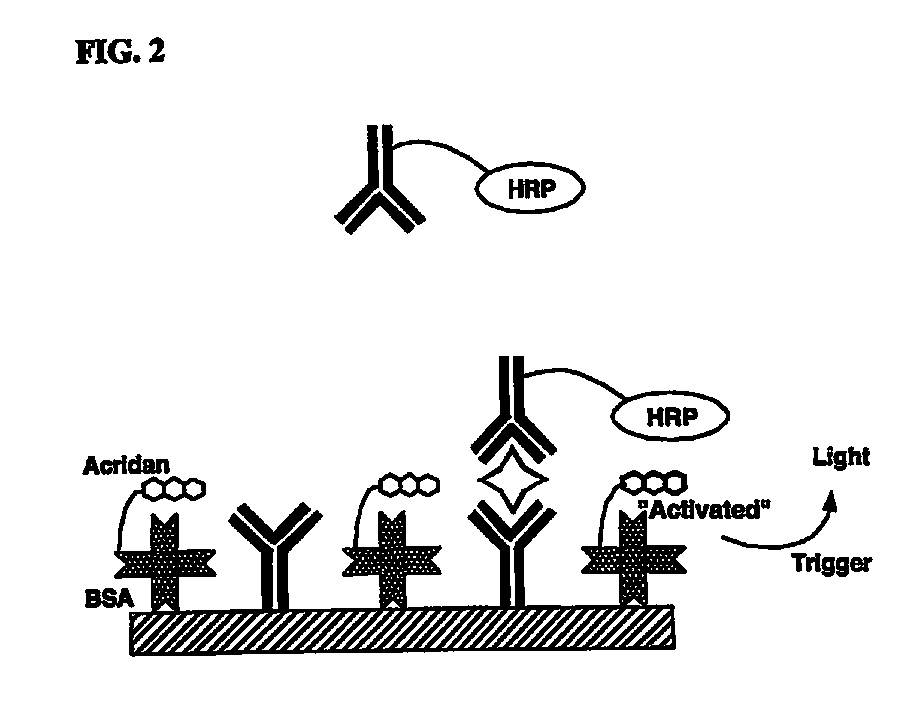 Patent US8124362 - Nonseparation assay methods - Google Patents