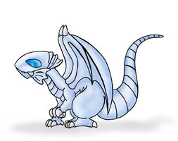 White Dragon Images