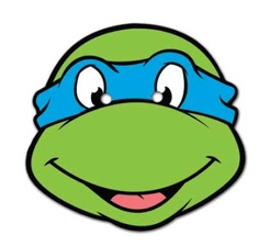 TMNT Party