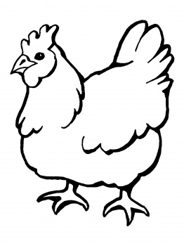Domestic Hen Bird coloring page | Super Coloring