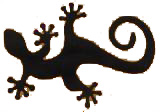 gecko.jpg