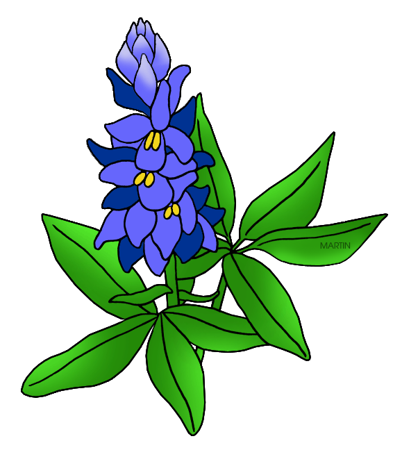 Free Flowers Clip Art by Phillip Martin, Bluebonnet