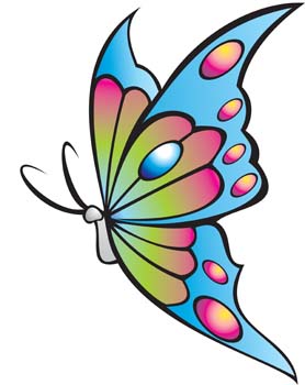 Butterfly Free Vector / 4Vector