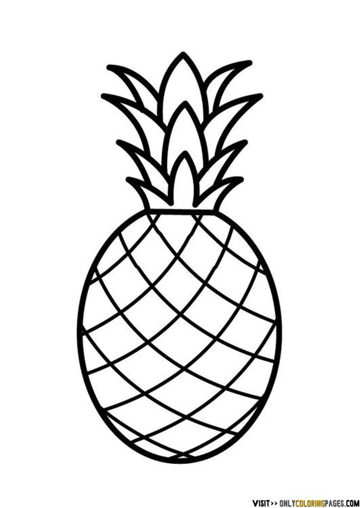 Pineapple Drawing | Prismacolor ...