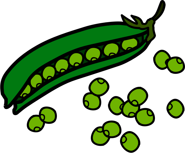String Beans Clip Art - ClipArt Best