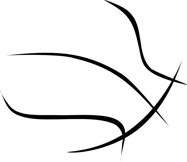 Imgs For > Basketball Hoop Outline