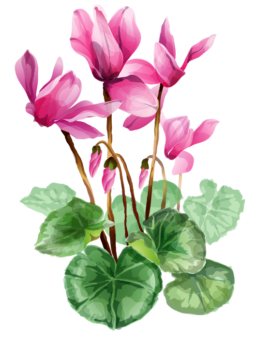 Iris Flower Clip Art Free - Free Clipart Images