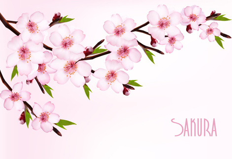 Sakura free vector download (38 Free vector) for commercial use ...