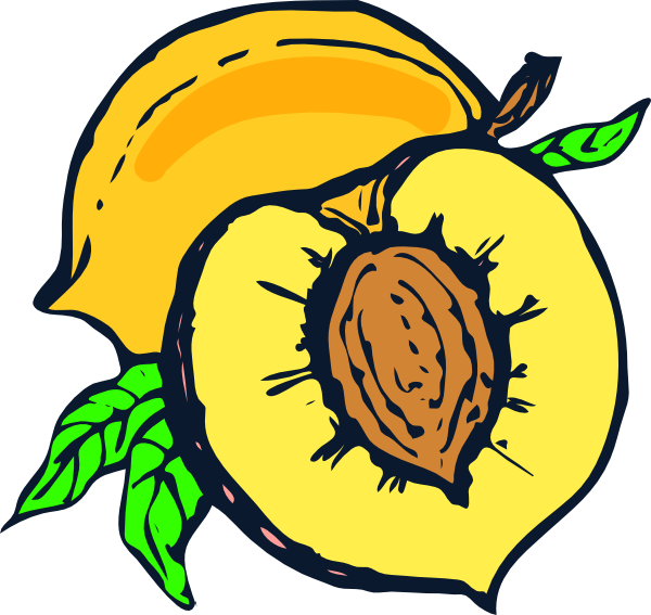 Peach Clip Art - vector clip art online, royalty free ...